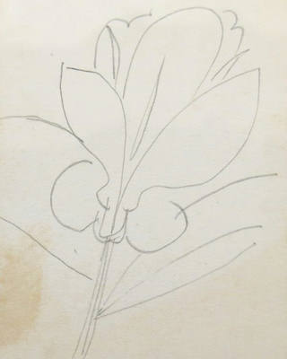 Aldemir Martins - Desenhos (s/ data)