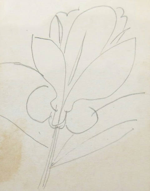 Desenhos (s/ data)