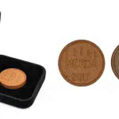 Shit Coin