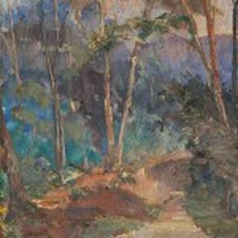 Paisagem de Teresópolis