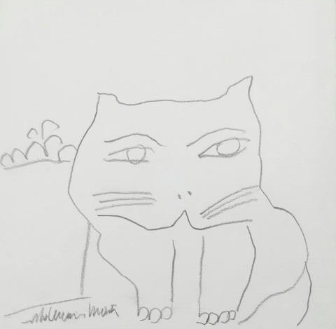 Gato