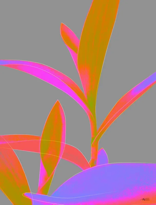 Nato Gomes - Tradescantia II