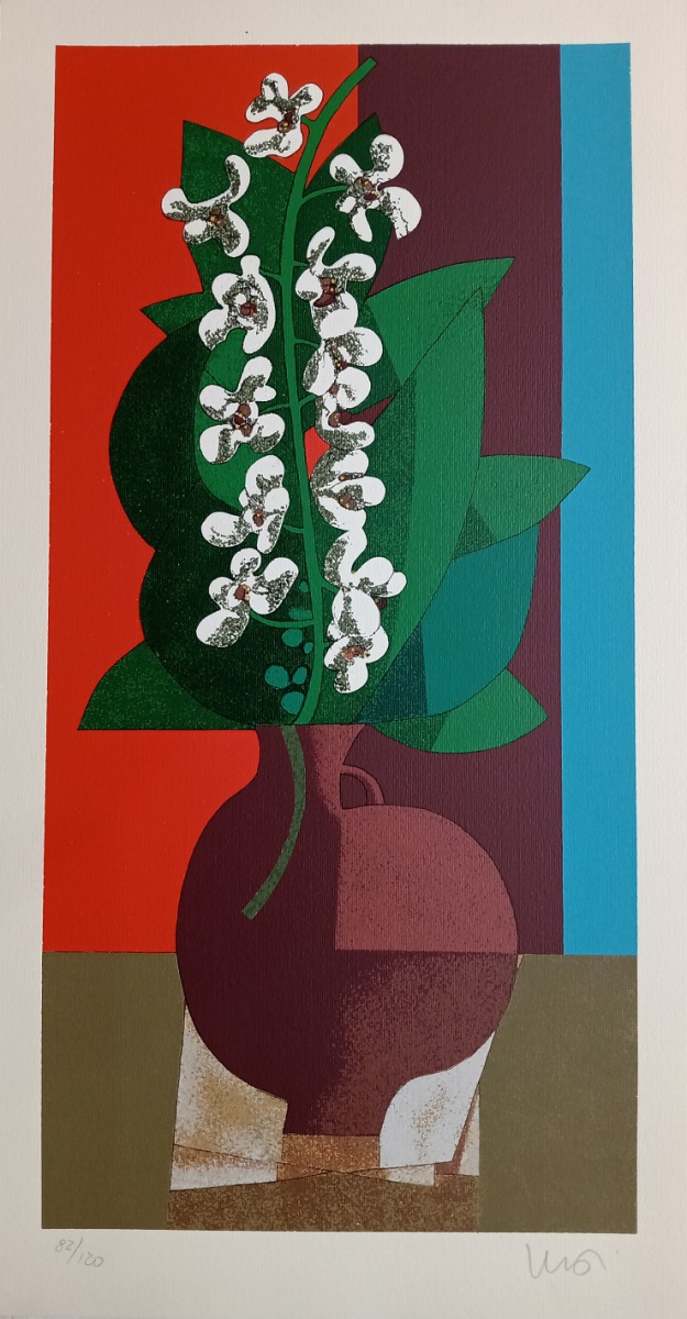 Orquídeas