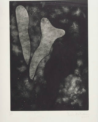 Tomie Ohtake - Abstração