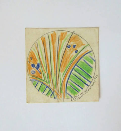 Flor Data
