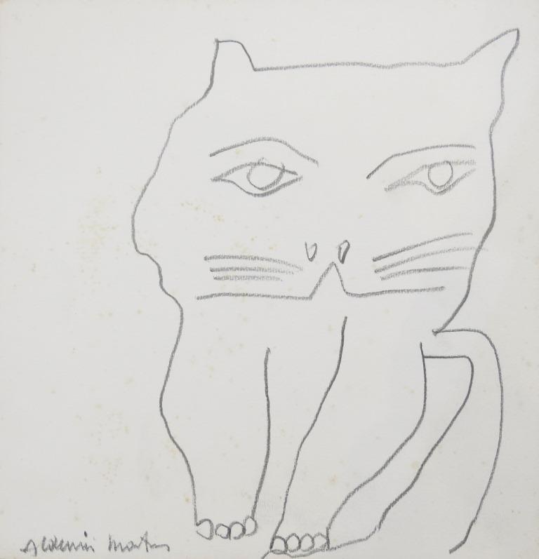 Gato