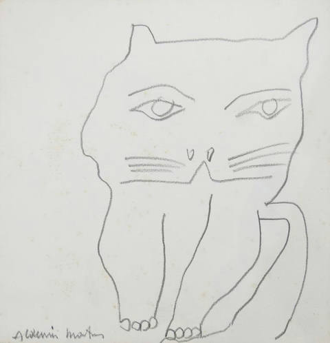 Gato