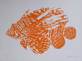 Kleber Ventura - Peixe Laranja