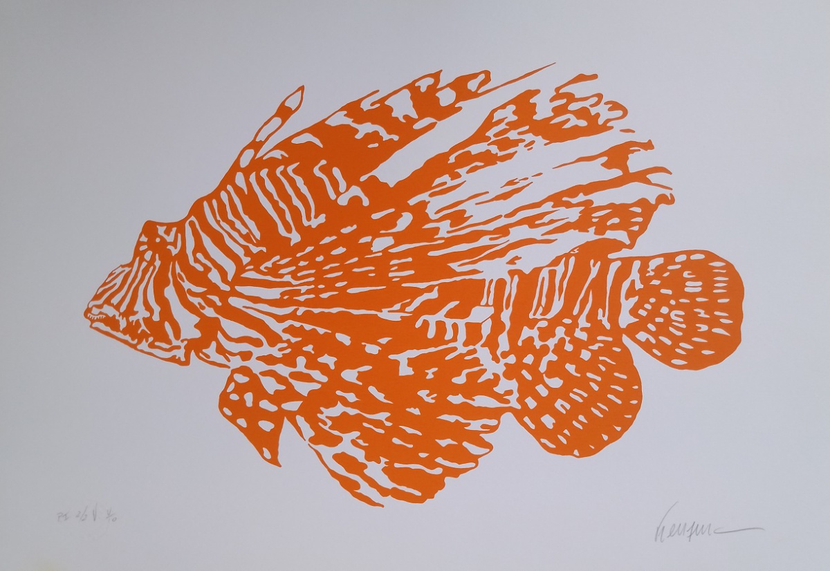 Kleber Ventura - Peixe Laranja