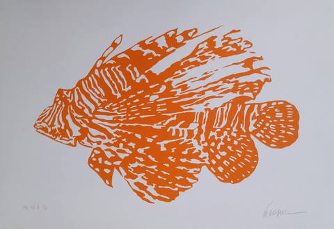Peixe Laranja