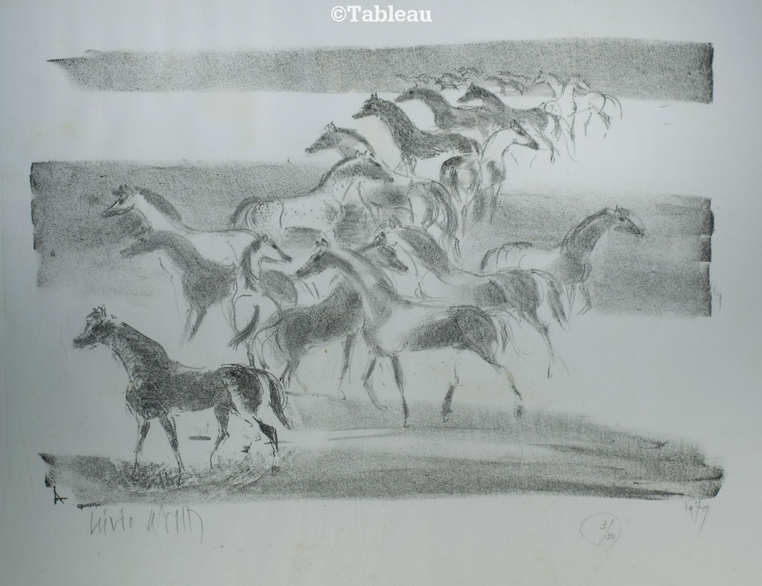 Lívio Abramo - Cavalos