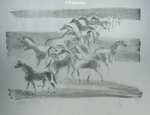 Cavalos