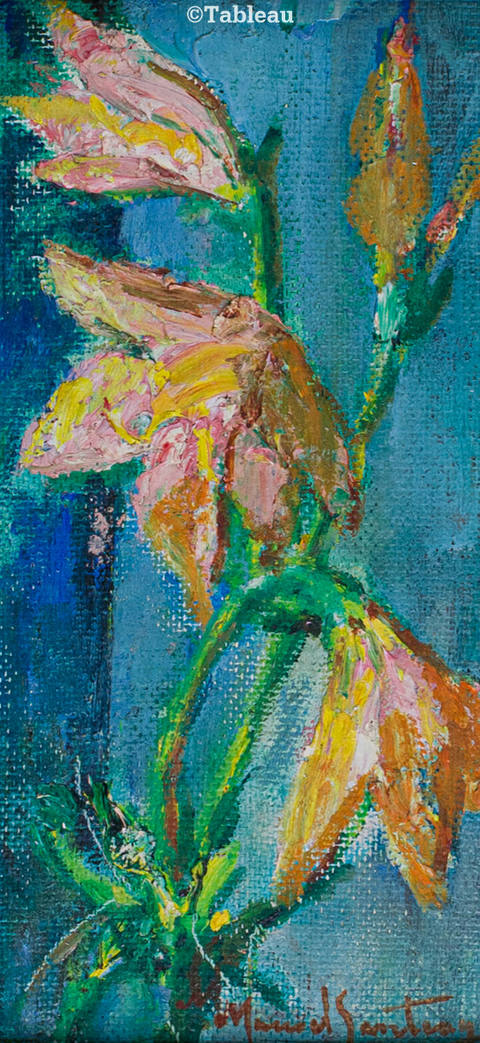 Flores