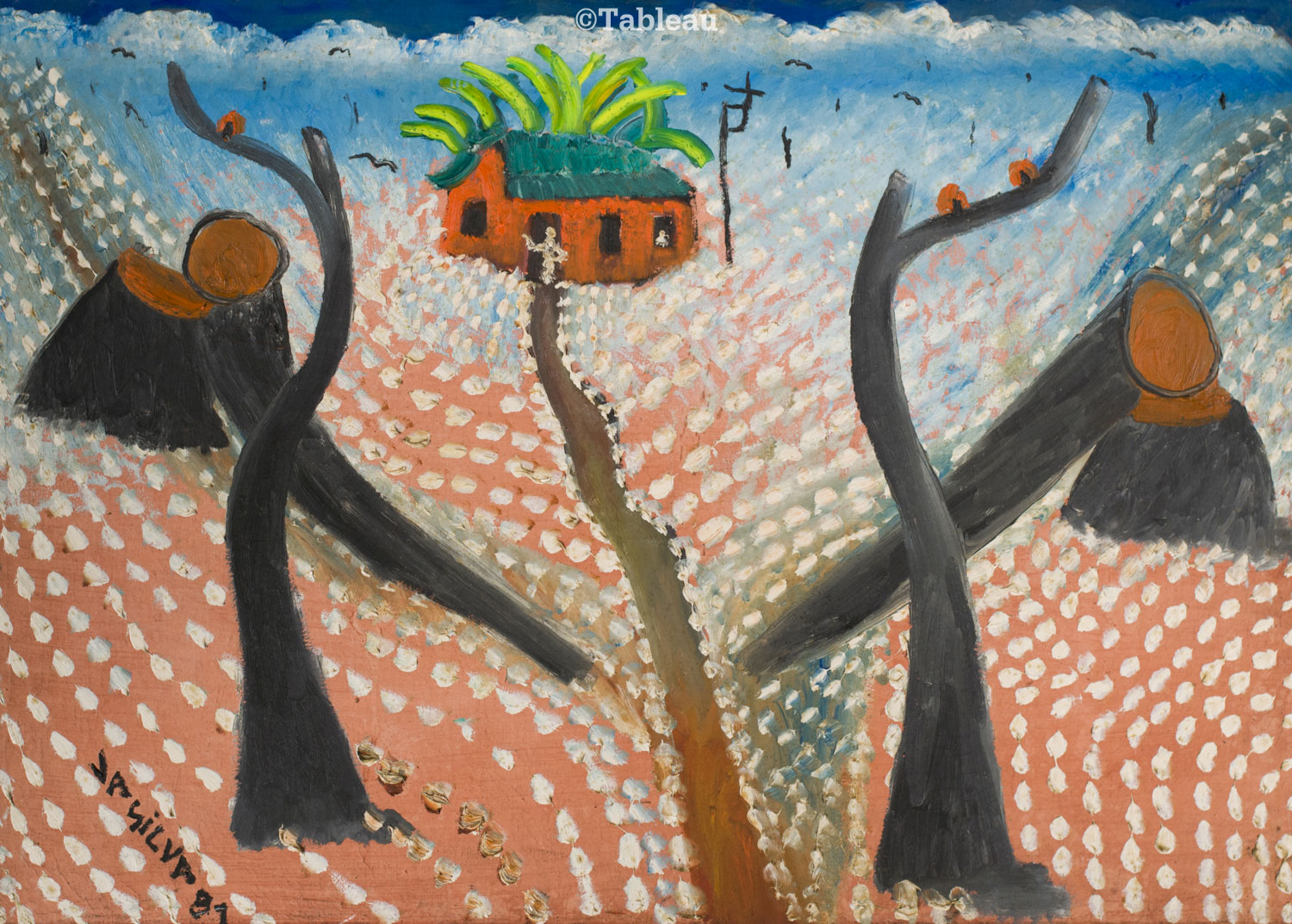 José Antônio da Silva - Plantação de Algodão