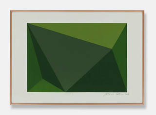 Antonio Peticov - Verde B