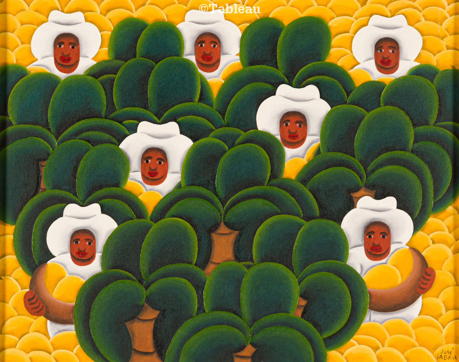 José Sabóia - Colheita