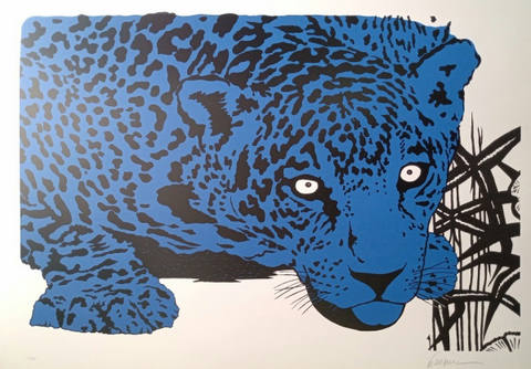 Onça Azul