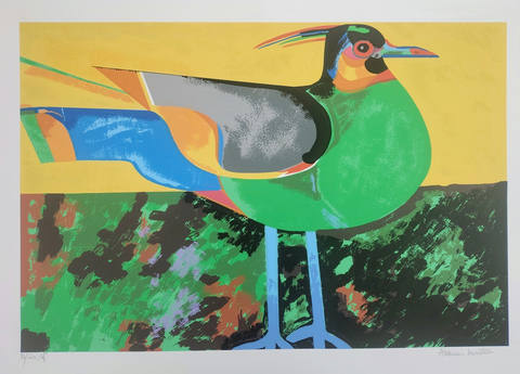 Pássaro Verde