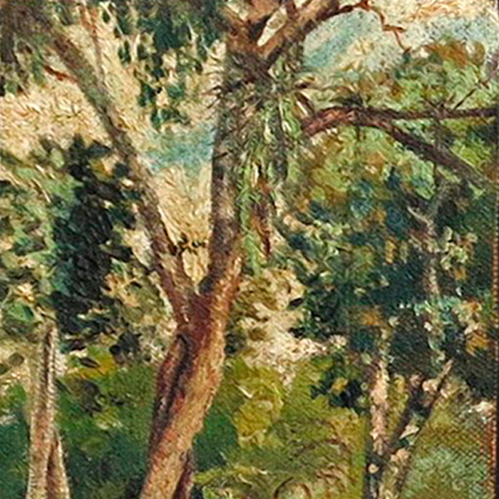 Paisagem