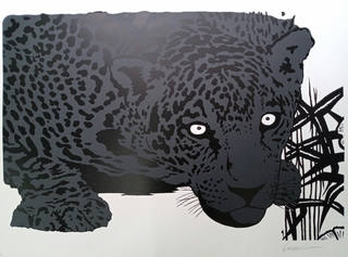 Kleber Ventura - Onça pintada cinza