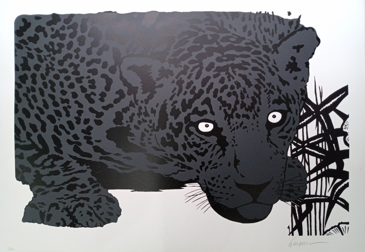 Onça pintada cinza