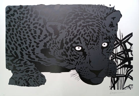 Onça pintada cinza