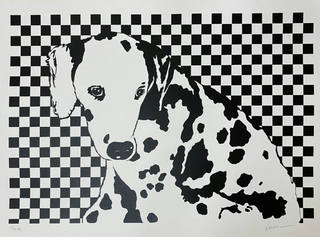 Kleber Ventura - Dalmata
