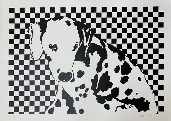 Kleber Ventura - Dalmata