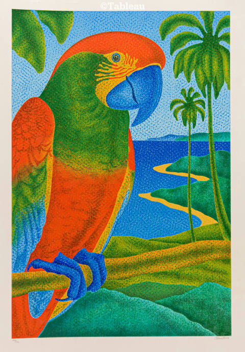 Papagaio