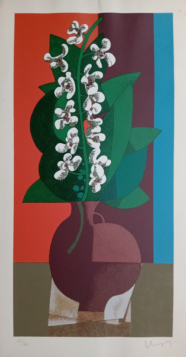 Orquídeas