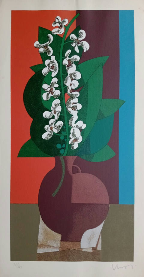 Orquídeas