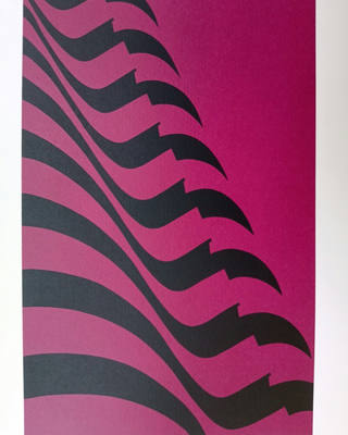 Kleber Ventura - Bandeira Pink