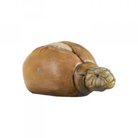 Pão Nosso