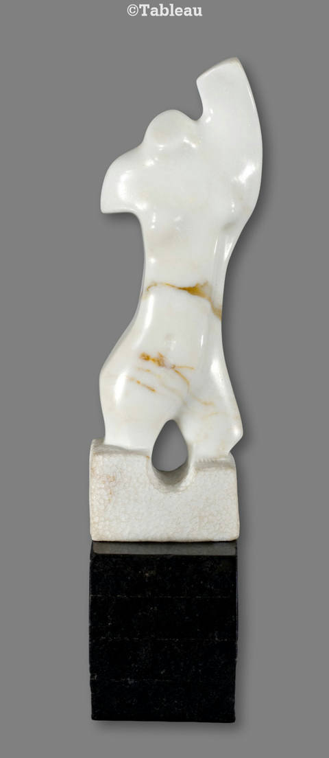 Torso
