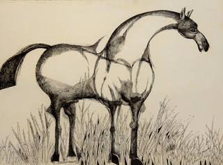 Aldemir Martins - Cavalo