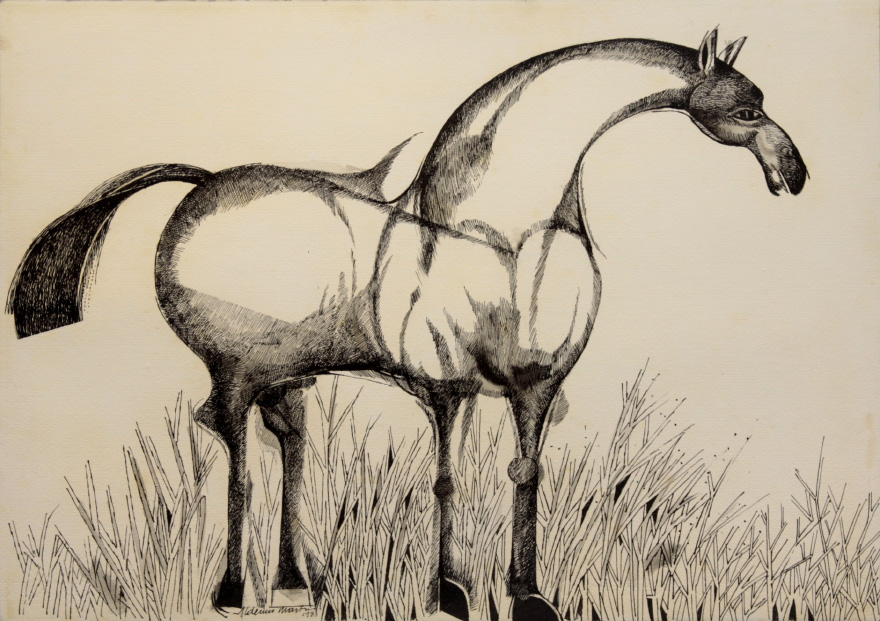 Cavalo