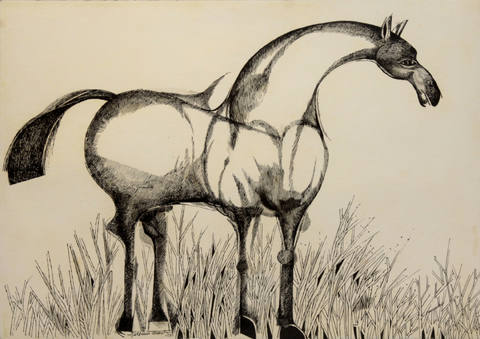 Cavalo