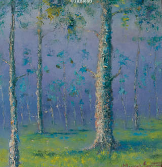 Manoel Santiago - Cascudas