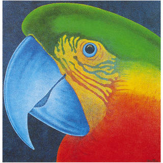 Claudio Tozzi - Papagália