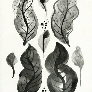 Nato Gomes - Herbarium