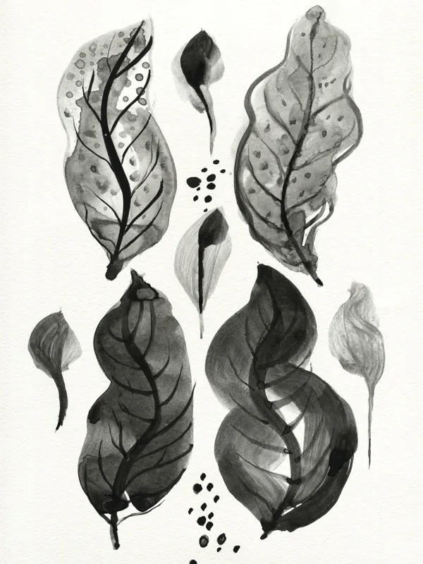 Nato Gomes - Herbarium