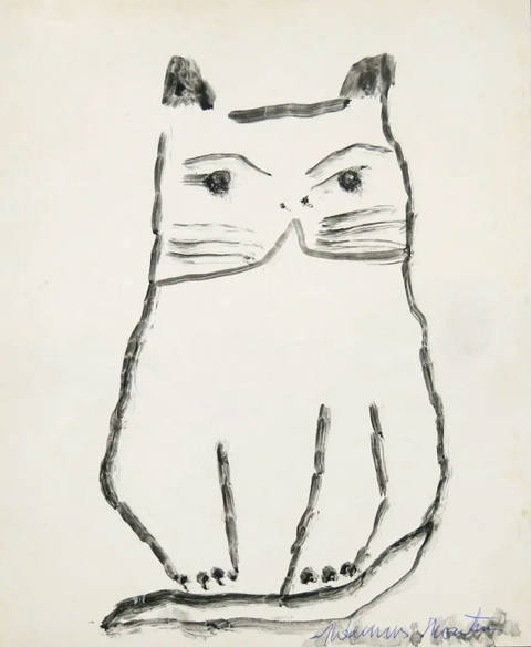 Gato
