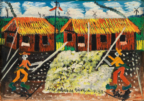 Colheita de Algodão