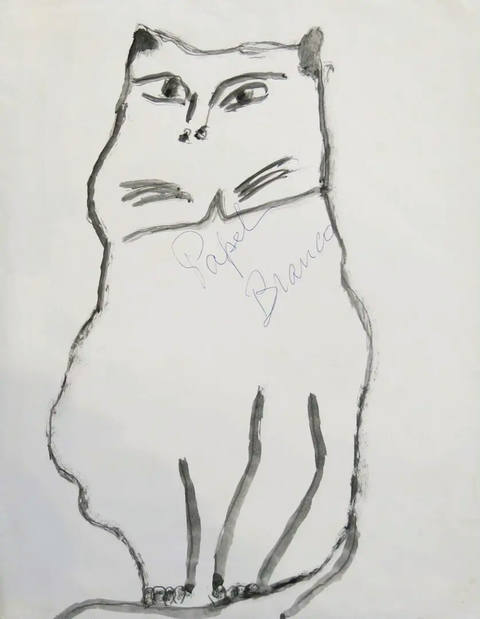 Gato