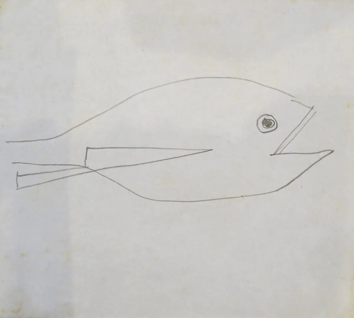 Peixe