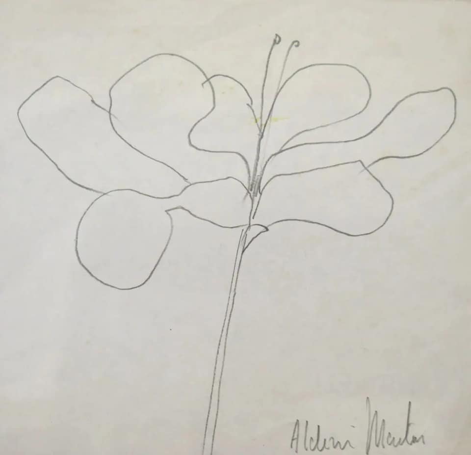 Aldemir Martins - Flor