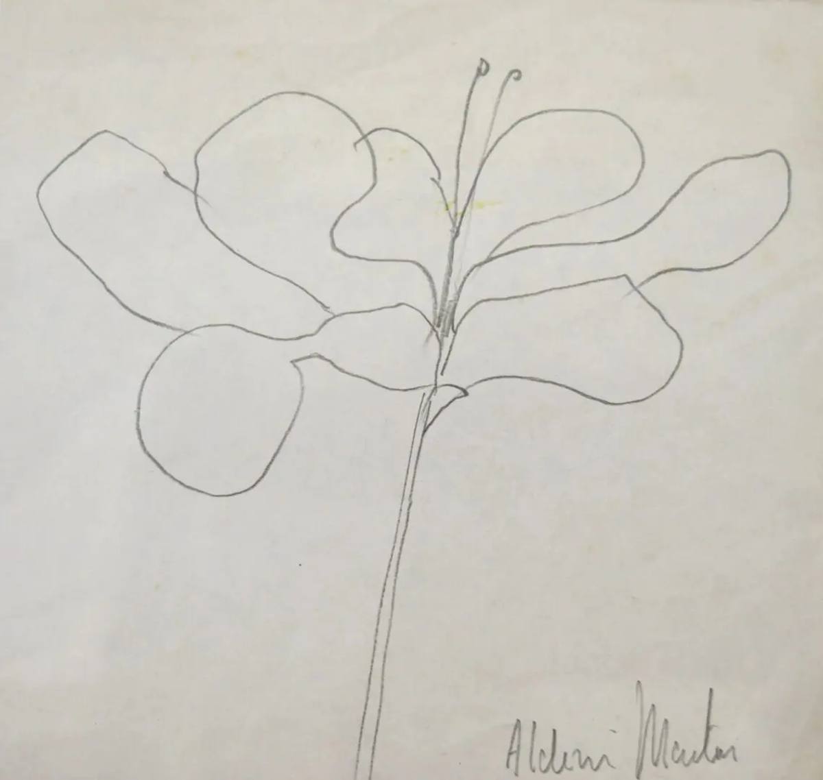 Flor