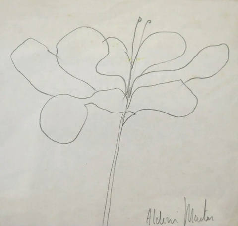 Flor