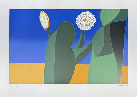 Flores