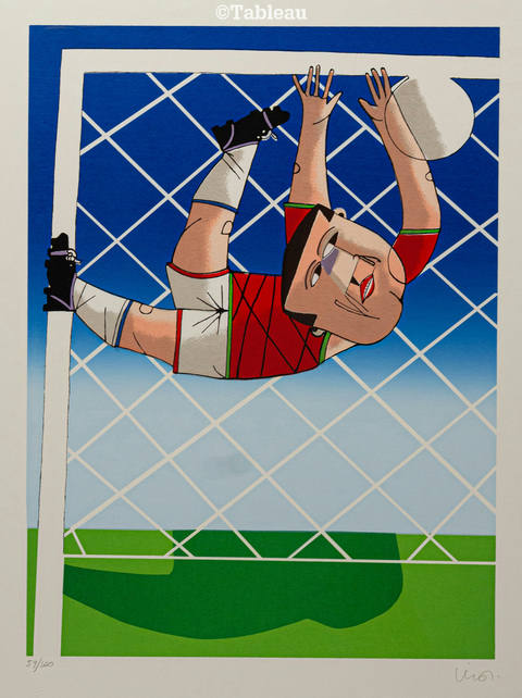 Goleiro